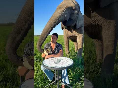 Proof That Animals Have Feelings #facts #animalfacts #wildlife