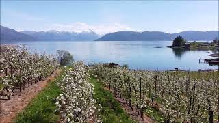 Omastrand, Hardanger, Norway 2025