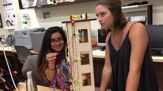 Famous ENGR 102 - Ernie Kim's Elevator Project Wealth