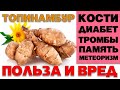 ТОПИНАМБУР - ПОЛЬЗА И ВРЕД (КОМУ ПОЛЕЗНА ЗЕМЛЯНАЯ ГРУША. УДИВИТЕЛЬНЫЕ СВОЙСТВА ТОПИНАМБУРА)