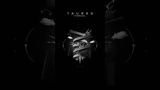 'Taured' by Hybrasil available now on Bandcamp