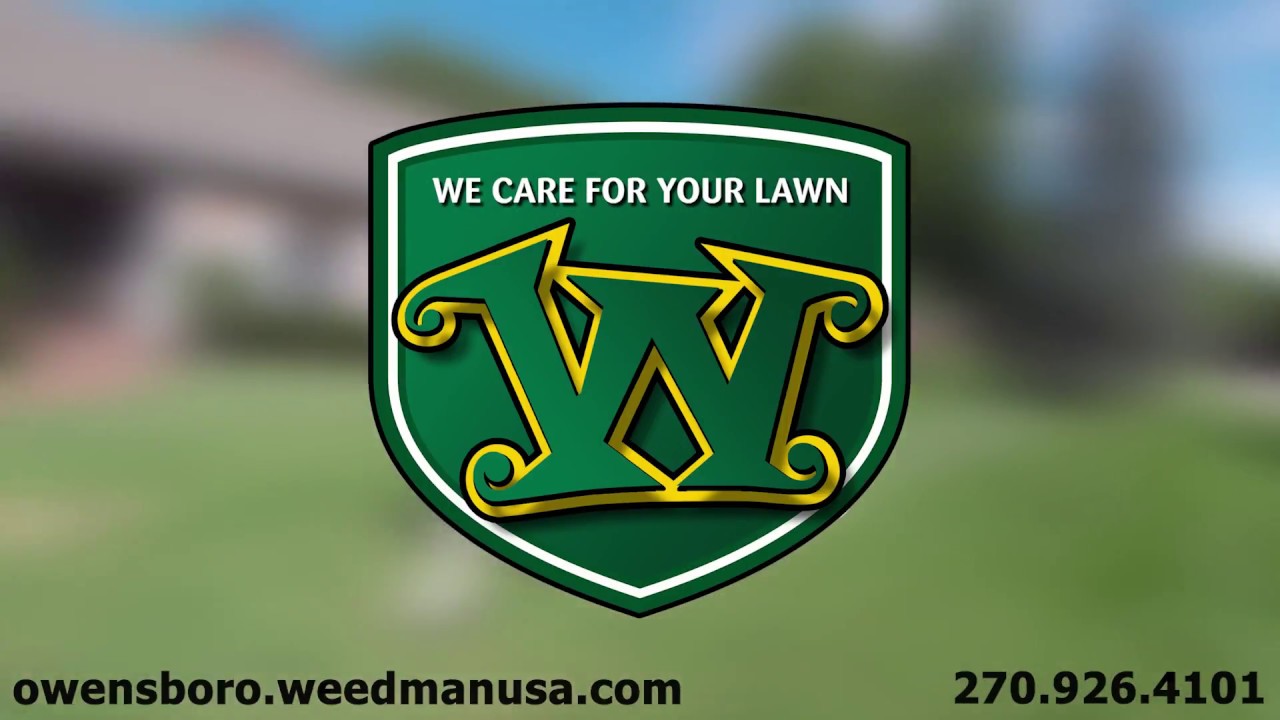 Weed Man Aeration Video