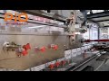 Cardboard packing machine