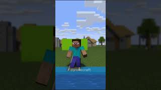 STEVE PUZZLE 2 【minecraft animation】#minecraft #shorts