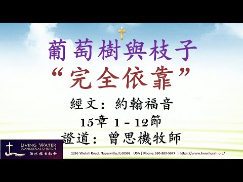 葡萄樹與枝子 : 完全依靠 】《約翰福音 15章1-12節》- 曾思機牧師 | 活水福音教会 🙏 🕆 - YouTube