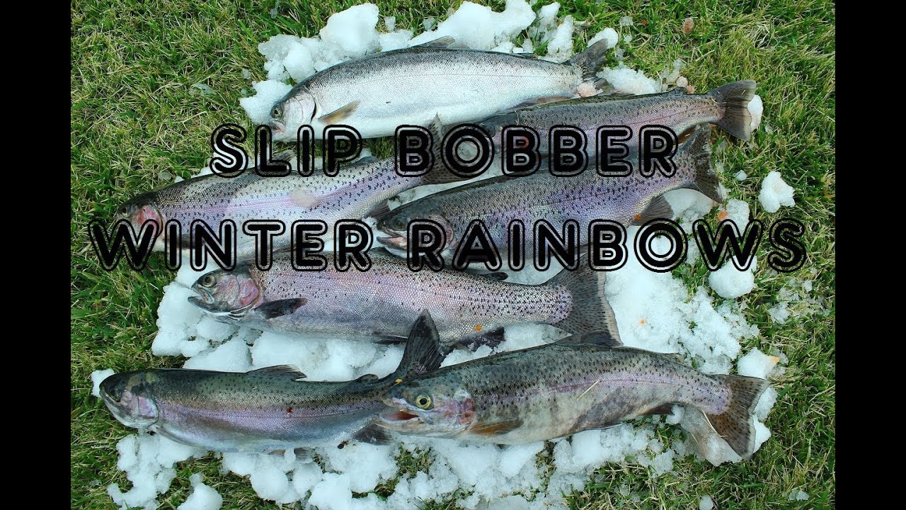 Big Bear Lake Fishing - How to use a Slip Bobber for Suspended Rainbow Trout  