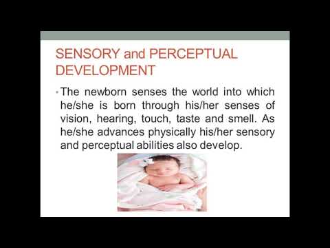 Module 12: Physical Development of Infants and Toddlers . - YouTube