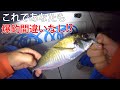 釣りのプロに教わるアジング釣り解説