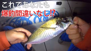 釣りのプロに教わるアジング釣り解説