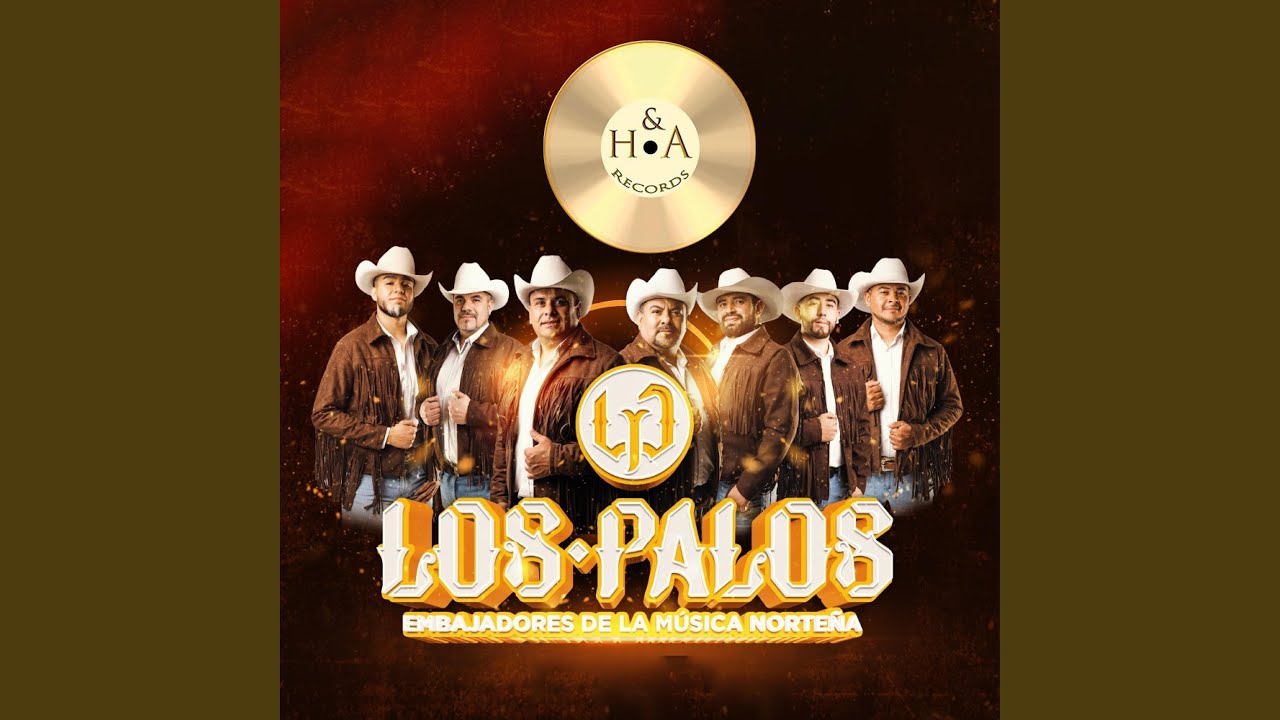 Mix De Cumbias (En vivo)