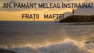 Ah, pământ meleag înstrăinat | Frații Maftei |Vol 8