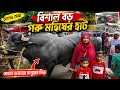 এক বিশাল গরু মহিষ এবং ছাগলের হাট । Vishal guru mohis sagoler hate । 2026
