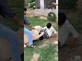 Lion Attacks The Lion Trainer Lion Attack Lionhub Shorts 