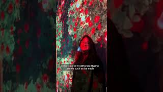 New In Dubai: Arte Museum ✨Dubai's newest immersive experience in the heart of Dubai Mall! 🎨