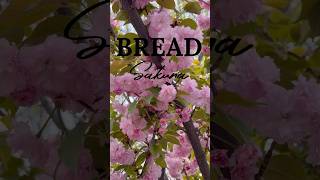 Sakura Sourdough Bread 🌸 Spring Inspired Artisan Loaf #shorts