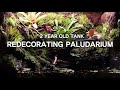 팔루다리움 다시 꾸미기 2-year-old frog tank 'Redecorating Paludarium' - trim plants, moss planting