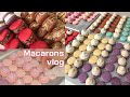 [ENG] 7가지 맛 마카롱 대량 생산하는 브이로그: macaron vlog/라즈베리,인절미,로투스,죠리퐁,돼지바,크림브륄레,카라멜아몬드