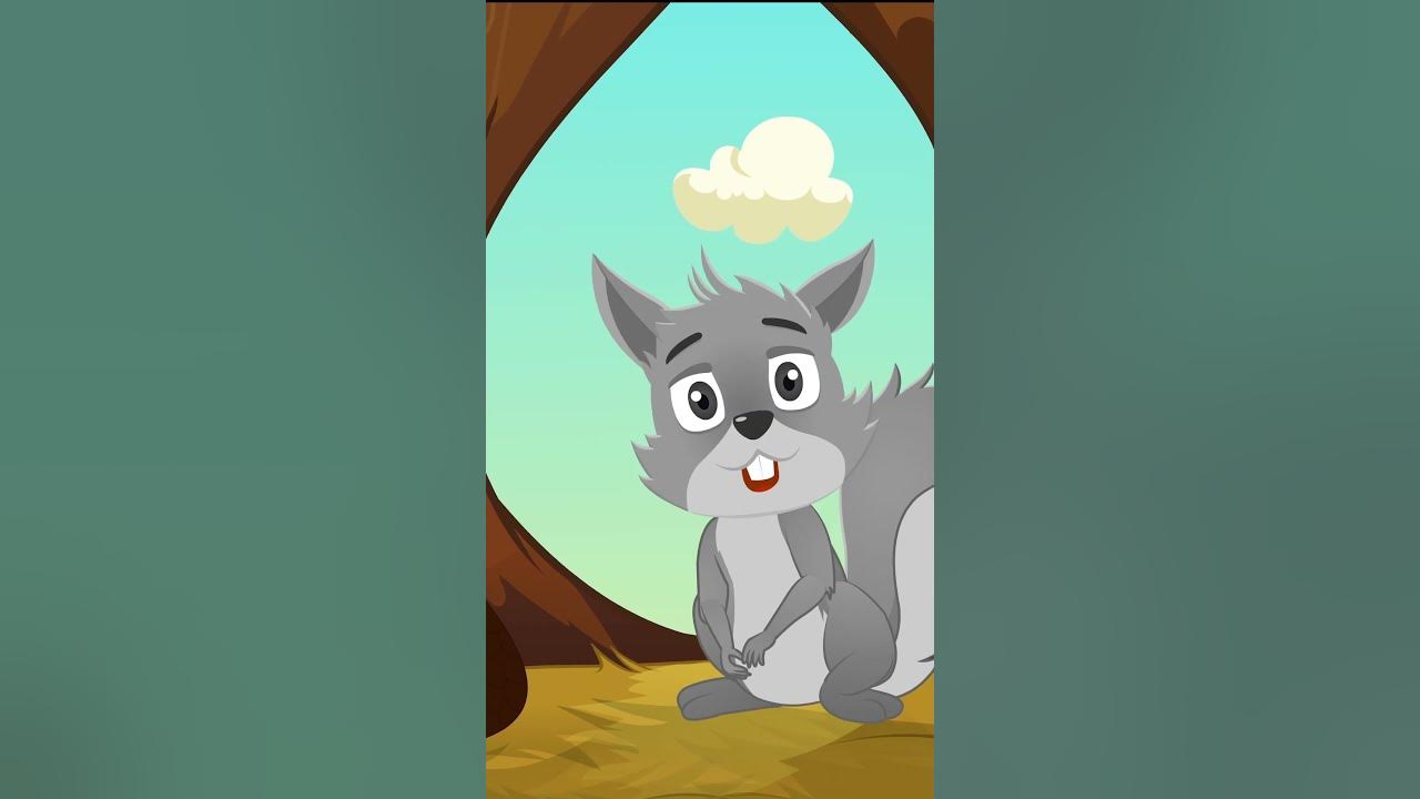 Why do squirrels swish their bushy tails shorts youtube