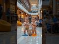 Twin Babies Cleaning Bookstore Floor 📚 Heart Touching & Innocent Moment