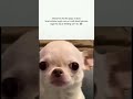 fielding set h 💀 #viral #memes #popular #tweetreels #meme