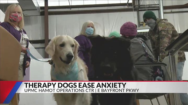 Therapy dogs ease anxiety at COVID-19 vaccination clinic