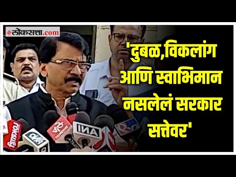 'या सरकारला पाठीचा कणा नाही'; कर्नाटक सीमाप्रश्नावरून Sanjay Raut यांची शिंदे-फडणवीस सरकारवर टीका