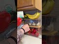 Clear acrylic fruit organizers, perfect for pantry organization