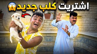 لما اخوك الصغير يجيب كلب في البيت😂🦮 | سيف عماد