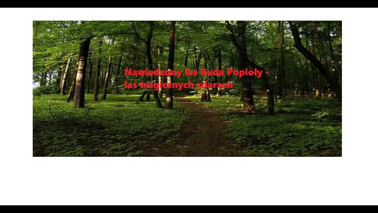 NAWIEDZONY LAS RUDA POPIOŁY🚨☠ - URBEX