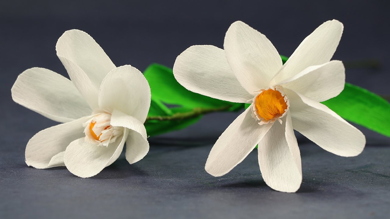 DIY Paper Flowers White and Orange Duplex Crepe Paper Flower Making