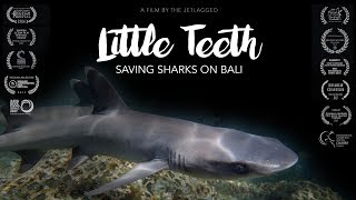 Little Teeth - Saving Sharks on Bali