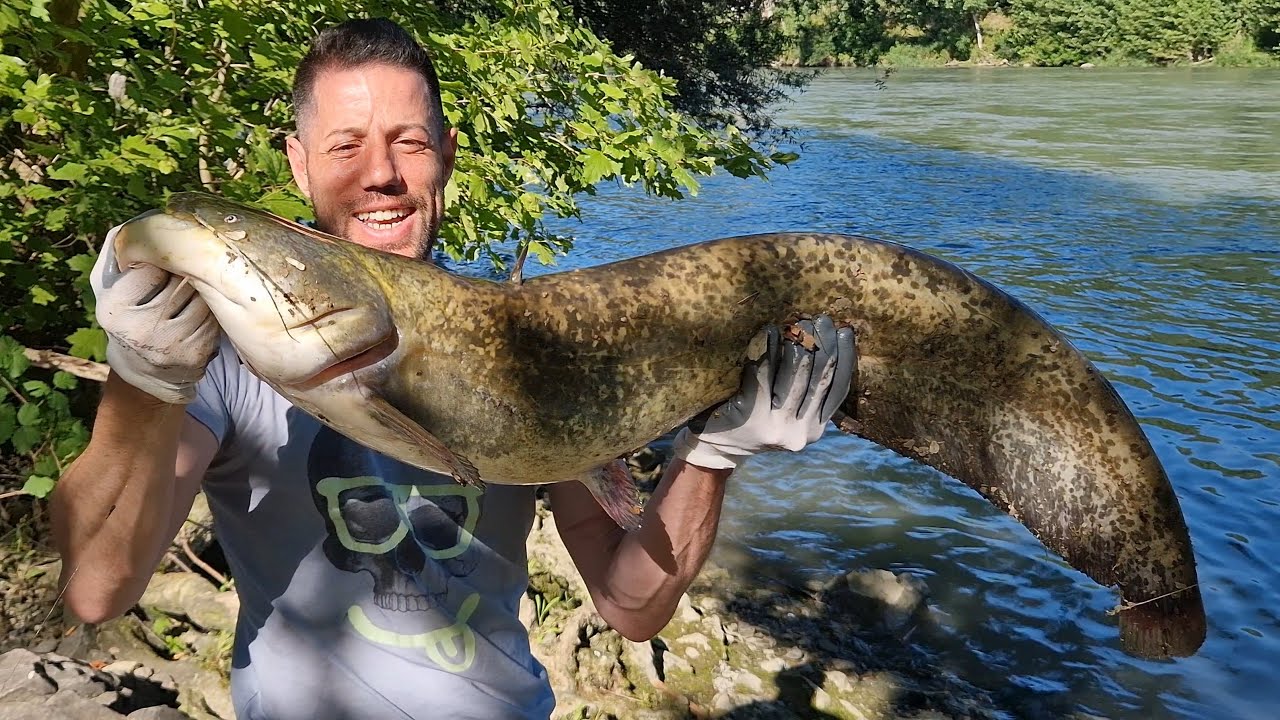 PESCE SILURO ASPIO E CAVEDANI PESCA A SPINNING IN FIUME STREET FISHING