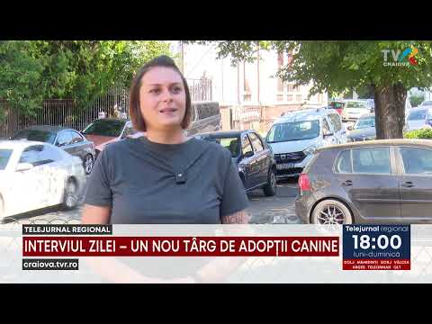 31 08 ADOPTION FAIR DAY INTERVIEW August 31