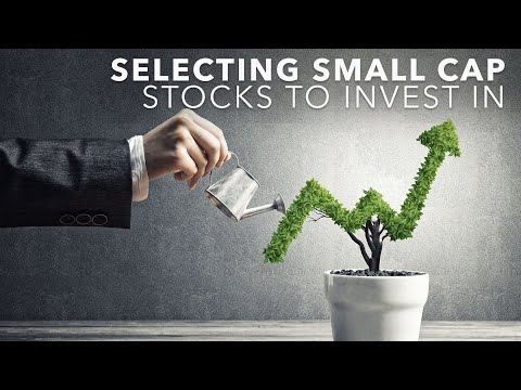 small-cap-stock-investing-|-how-to-select-small-cap-stocks