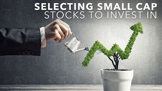 Small Cap Stock Investing | How to Select Small Cap Stocks