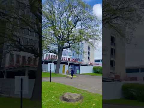Hertfordshire university 💚#london #teluguvlogs #ukstudents #hertfordshire #nature #viral #shorts