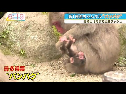 2025年最初の赤ちゃんは“バンパク” これから出産ラッシュ