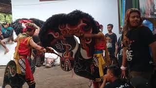 Download Lagu Perang Celeng Devil's crew 1270