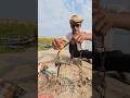 Hook Fishing moody water With Catfish Bait #villagevlog #shorts