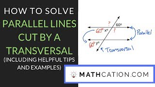 How to Solve Parallel Lines cut by a Transversal Mathcation