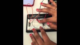 Celebrity Python Quick Reaction by Team Awesome Coders // Raspberry Pi Lab @ The Village School Wealth