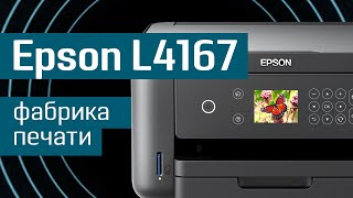 Обзор МФУ Epson L4167: «фабрика печати» от Эпсон - струйная двухсторонняя печать, сканер и копир