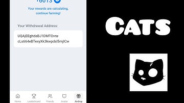 Start From Zero | 7th October | Cats Video Code #Cats