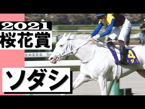 「白い桜が咲き誇りました！」史上初！白毛馬ソダシがクラシック制覇  White Japanese Filly Sodashi Wins Oka Sho【桜花賞2021】