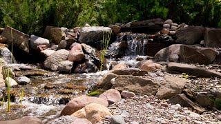 1.8 Draw Your Base Plan - Module 8 - Enhancing Your Creation