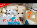 【柴犬を飼う前に準備する事】柴犬を飼う前に買ったもの7選！こんな費用かかります！！
