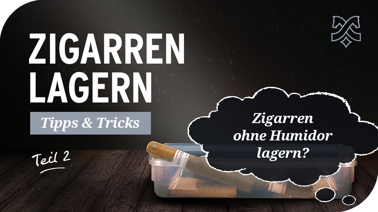 Zigarren lagern ohne Humidor – Tipps zum Aufbewahren von Zigarren