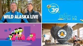 Pbs Kids Family Night Intersials - Wild Kratts Wild Alaska Live 2017 Wfwa-Dt2 Part 13