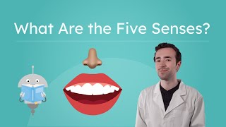 What Are the Five Senses? - Exploring the Senses