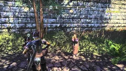 The Elder Scrolls Online: Tamriel Unlimited  Playing Lute for NPC ;)
